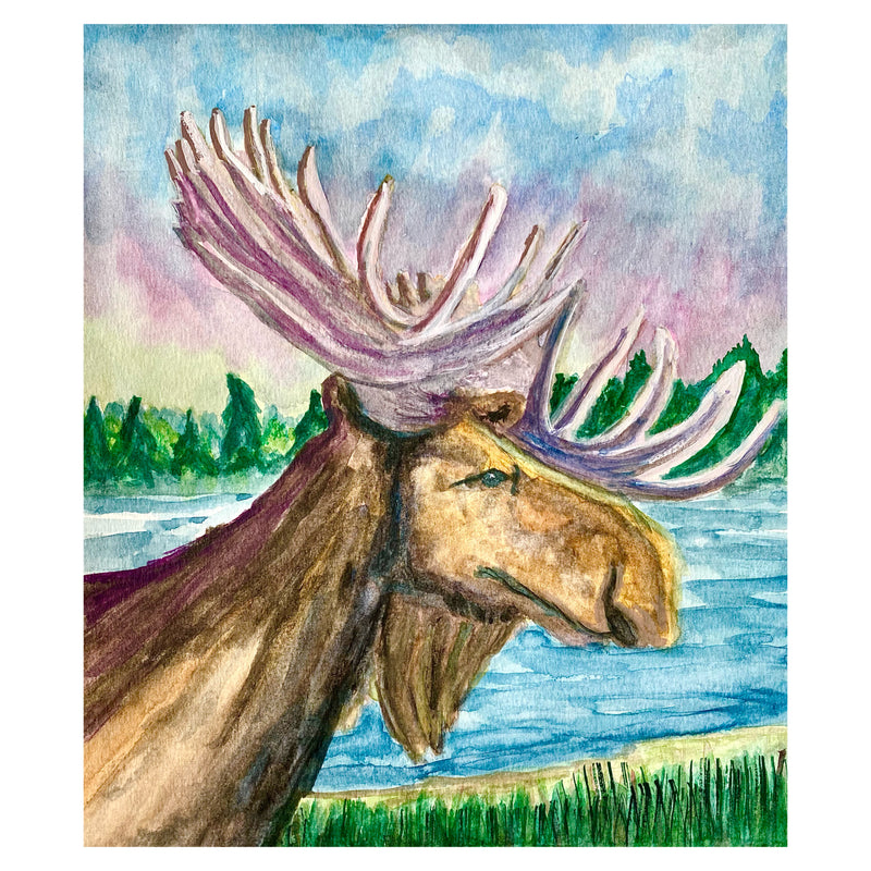 Pensive Moose